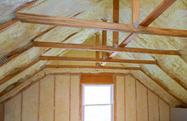 Best Insulation Materials and Products in Batesburg Leesville, SC